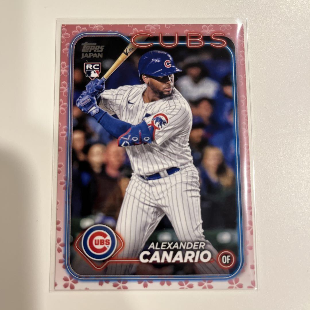 topps 2024 Japan edition Canario 桜 99枚限定 - メルカリ