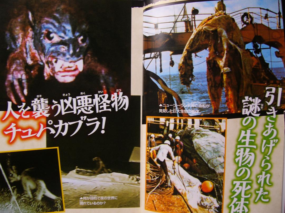 メルカリ 映像がとらえた 未確認動物 Uma の謎に迫る最新スクープ 絵本 594 中古や未使用のフリマ メルカリ 映像がとらえた 未確認動物 Uma の謎に迫る最新スクープ 絵本 594 中古や未使用のフリマ