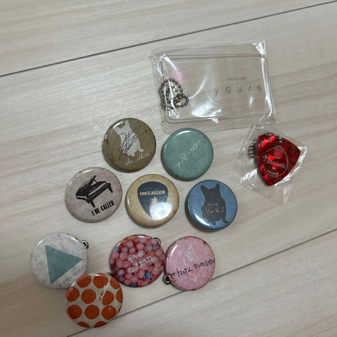 アイビーカラー CD.グッズセット アイビーカラー CD.グッズセット