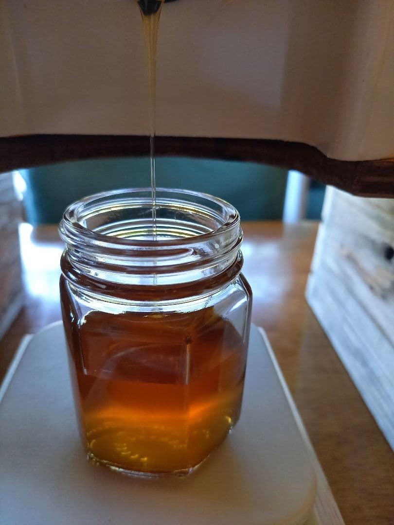 安心の日本みつばち 濃厚82% 春採はちみつ 1100g 貴重品‼ - 通販