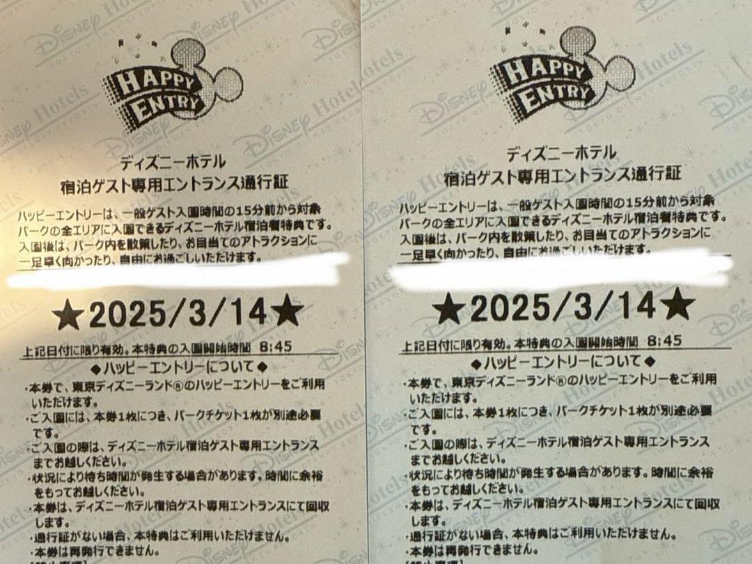 ディズニーランド　ハッピーエントリー