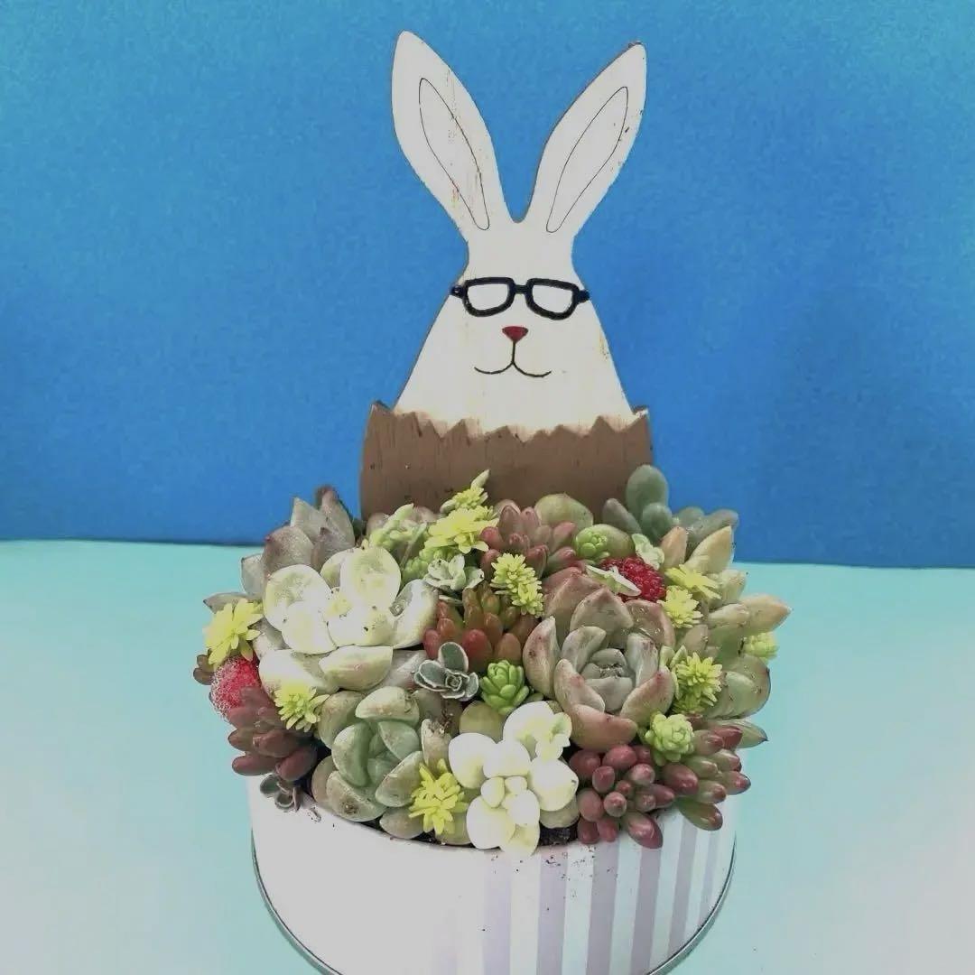 ❤️専用♥多肉植物❤️そのまま飾れる寄せ植え❤️ユニコーン