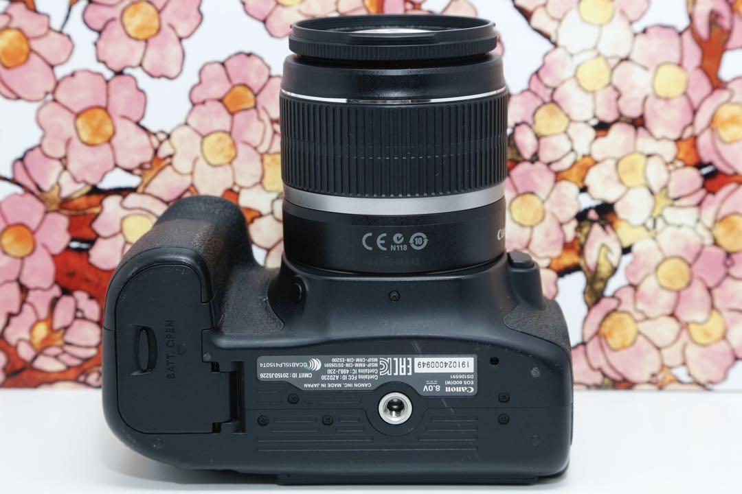❤️ハイスペック❤️キヤノン Canon EOS 80D レンズセット❤️