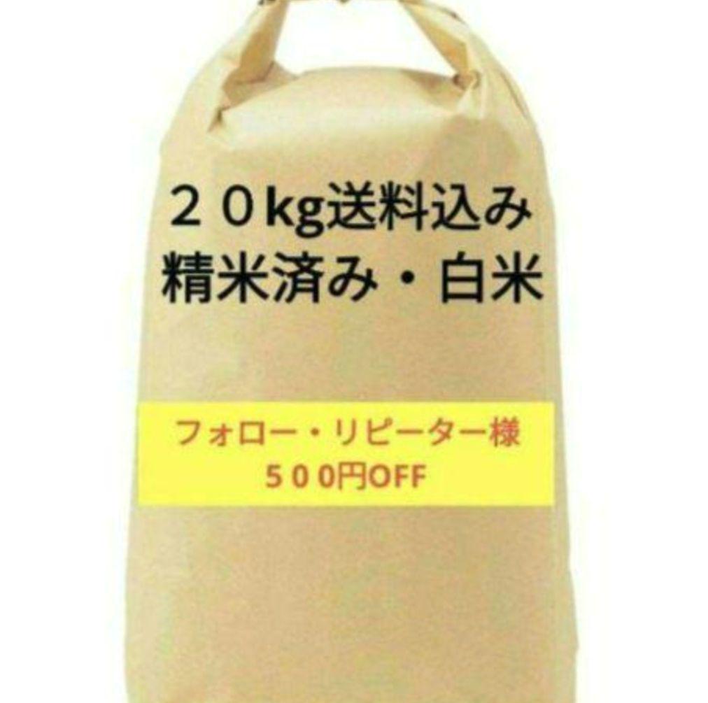 送料込み 精米済み 白米 20kg 6年度産 佐賀県産米