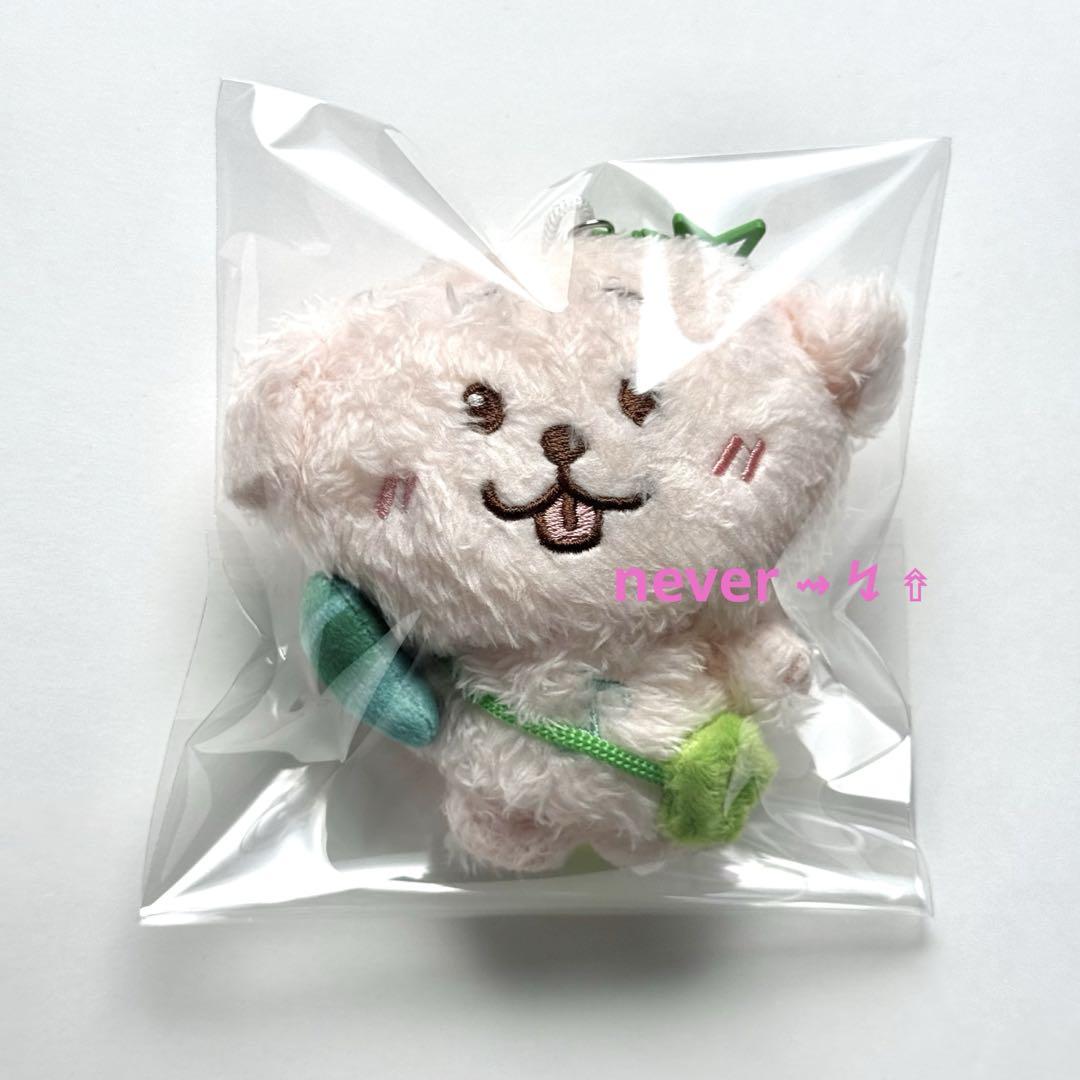 NCT WISH doll ジェヒ デントリバー ぬいぐるみ ① - メルカリ