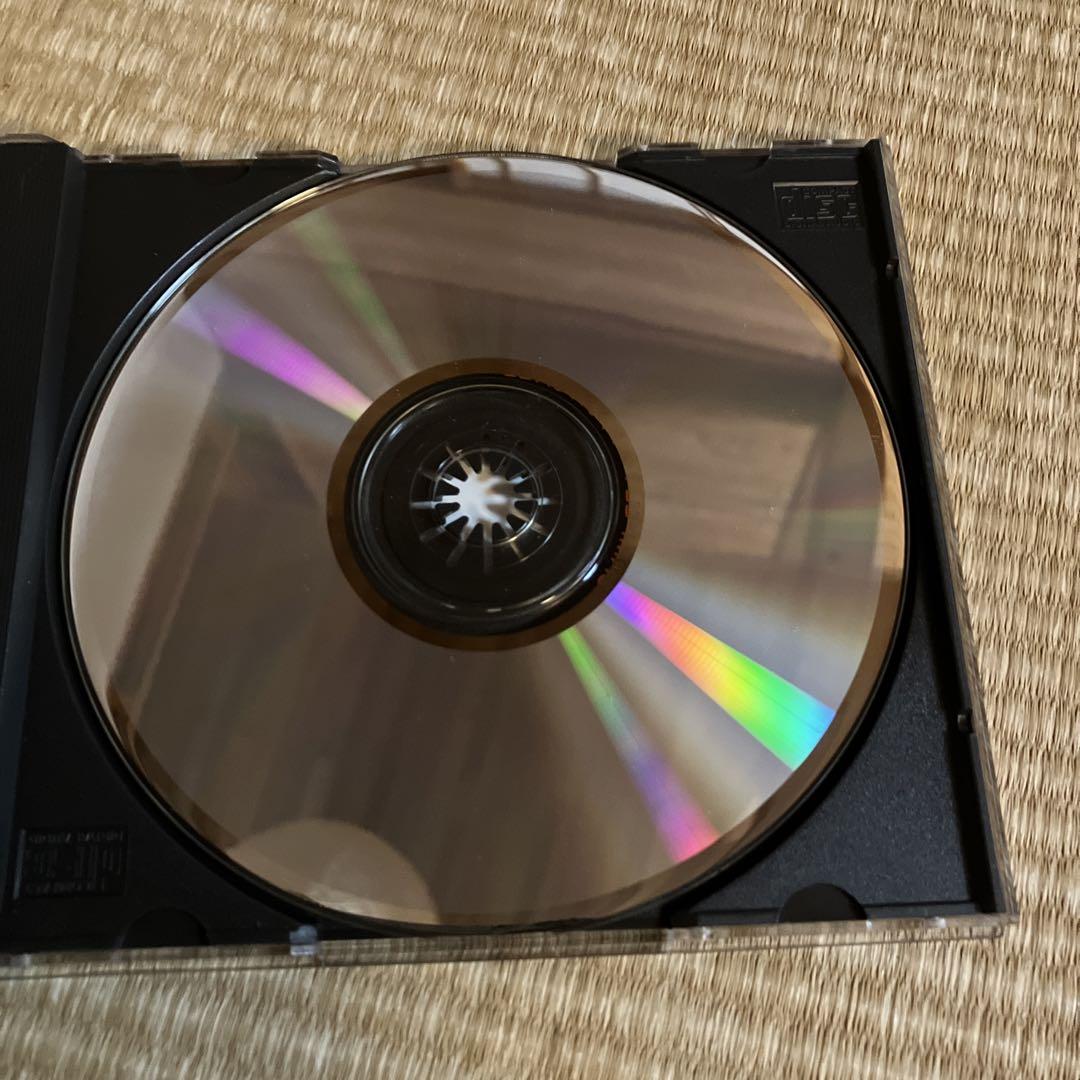 Guns N' Roses / GN'R LIES【国内盤プロモCD】