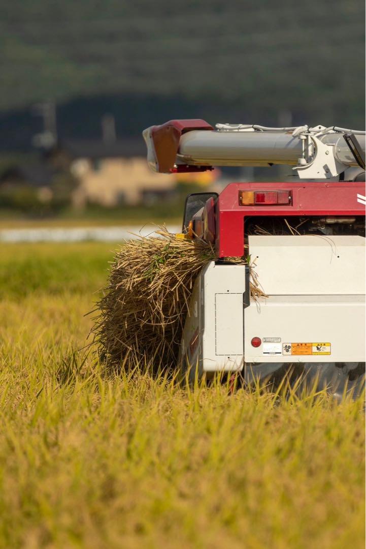 新潟県産コシヒカリ新米30kg 特別栽培米　玄米