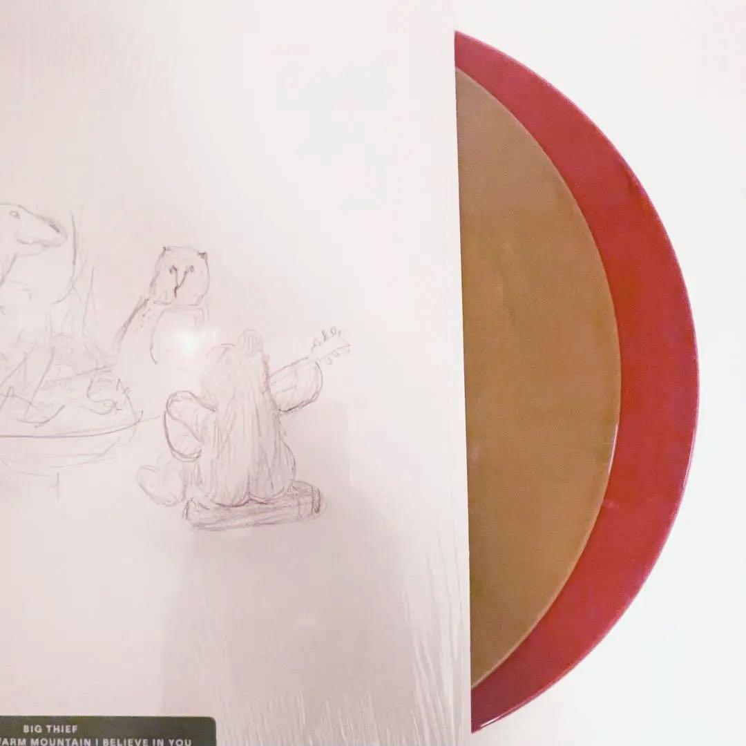 Big Thief　Dragon New Warm Mountain　LP