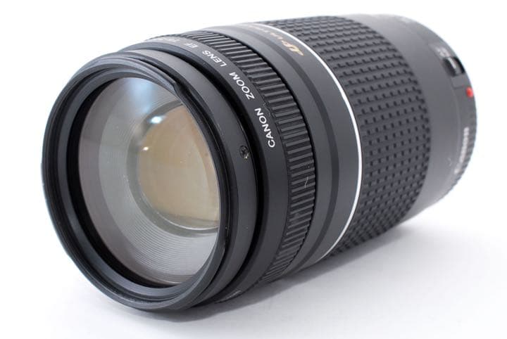キャノン ☆極上品☆Canon EF 75-300㎜F4-5.6 III USM 売れ筋介護用品