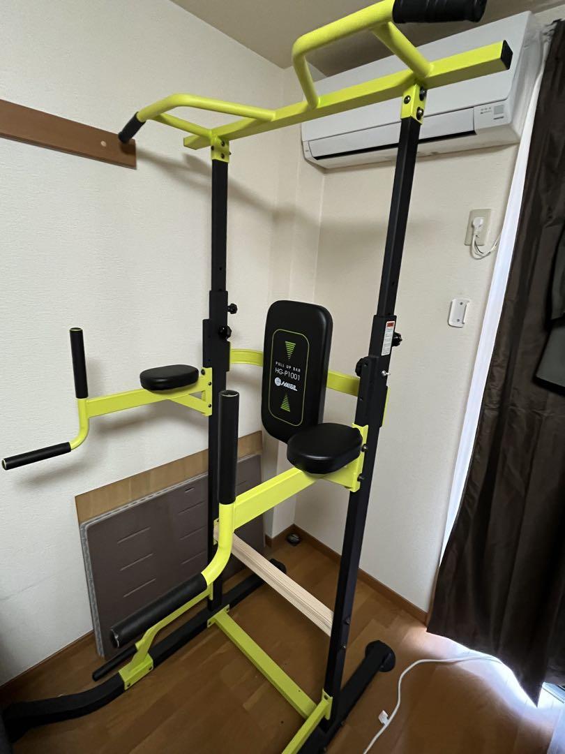 ぶら下がり健康器 プラップバー 懸垂マシン HAIGE HG-P1001