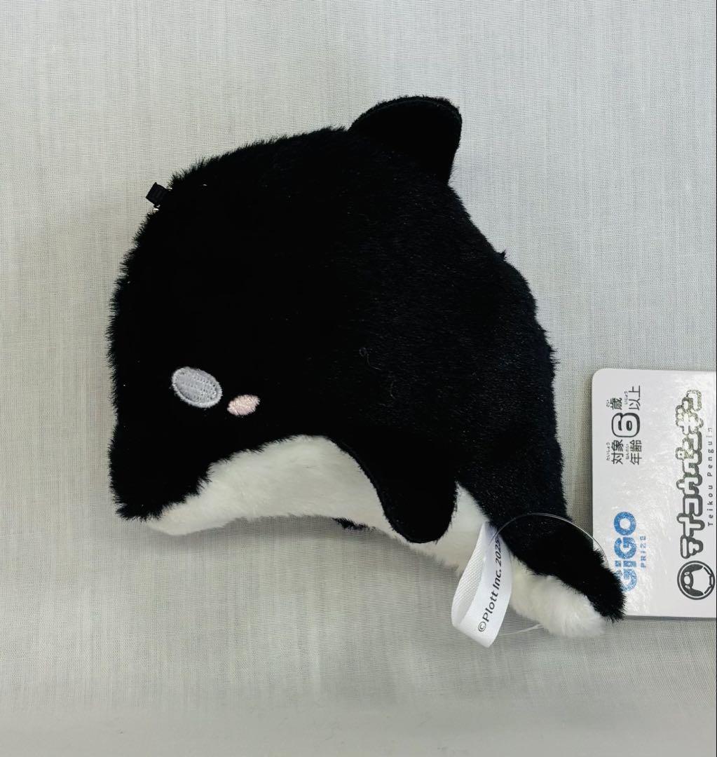 GIGO限定 テイコウペンギン ふわぽてぬいぐるみ マスコット 全種コンプセット GiGO 上田 on X: 