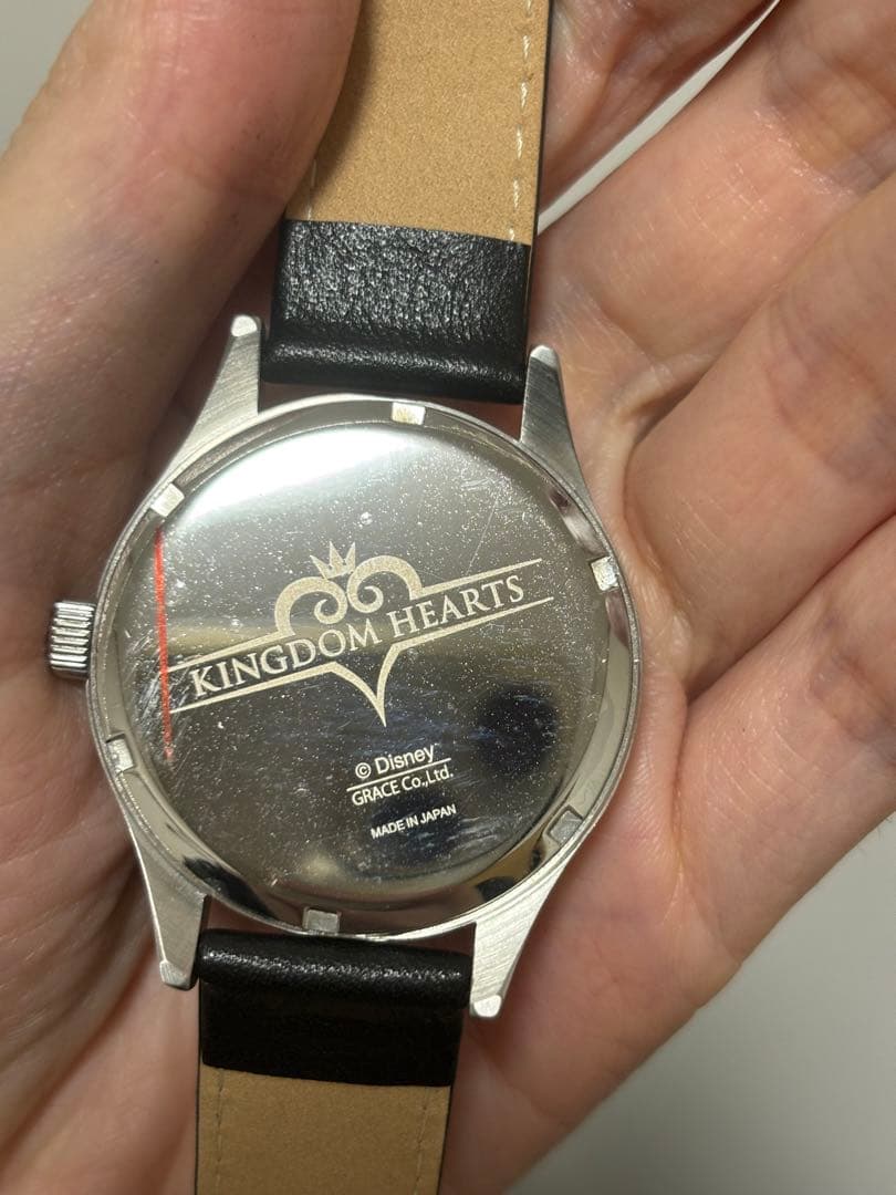 訳あり Kingdom Hearts Roxas SuperGroupies