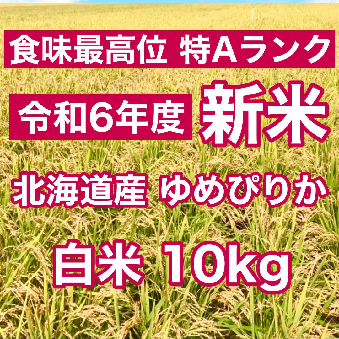 令和6年産 北海道米 ゆめぴりか 白米 10kg 送料無料 ブランド米