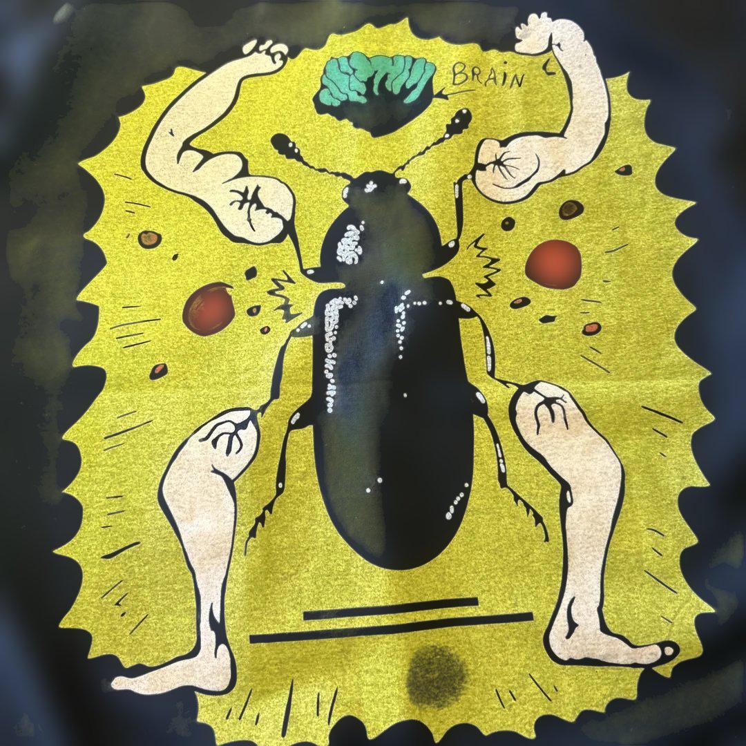 #621 THE FLAMING LIPS フレーミングリップス バンドXL