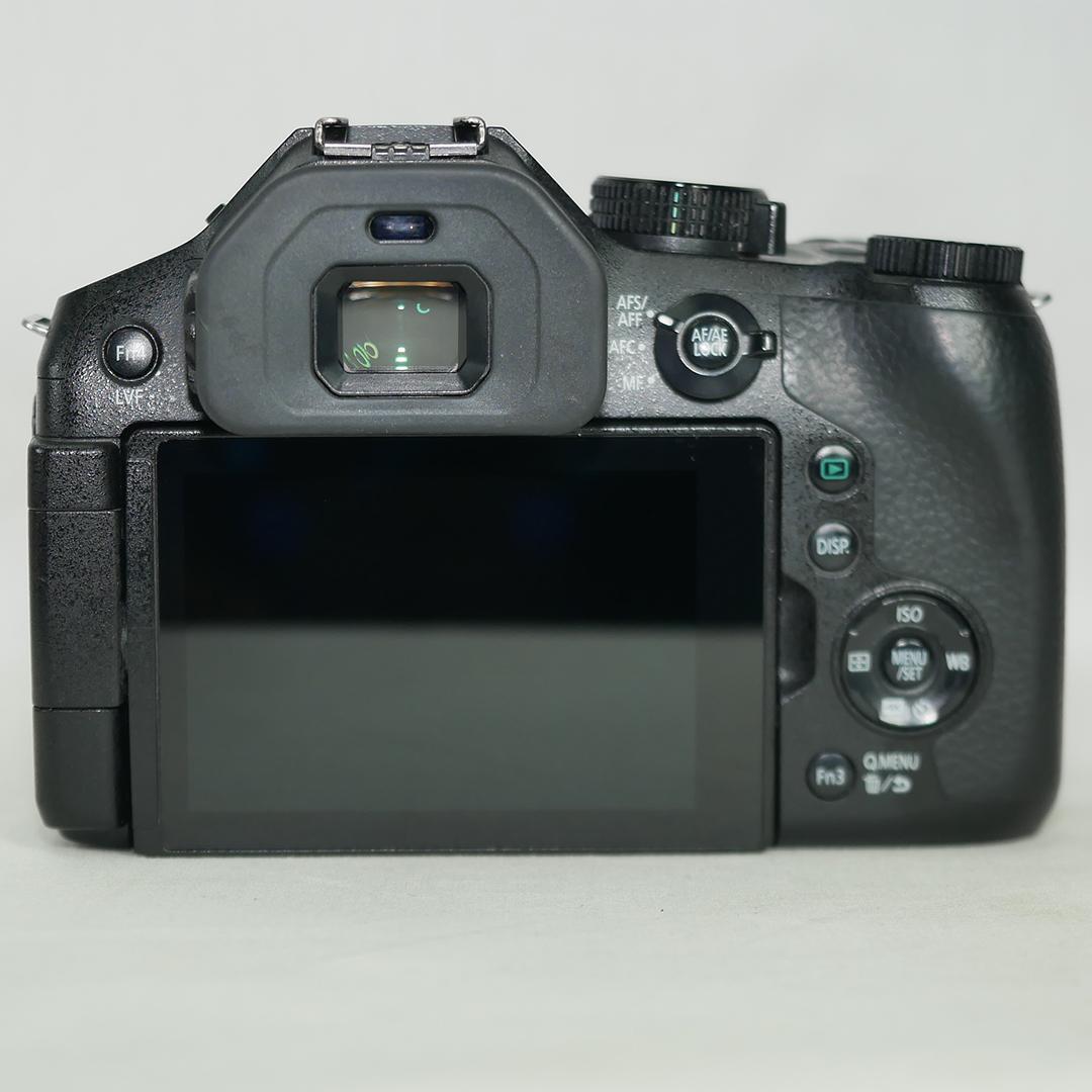 DMC-FZ300