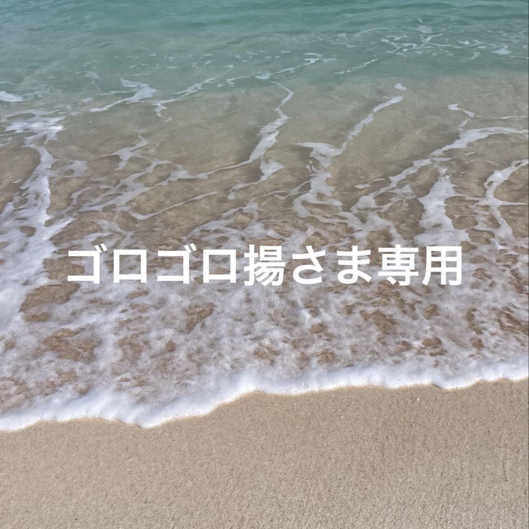 ゴロゴロ揚さま