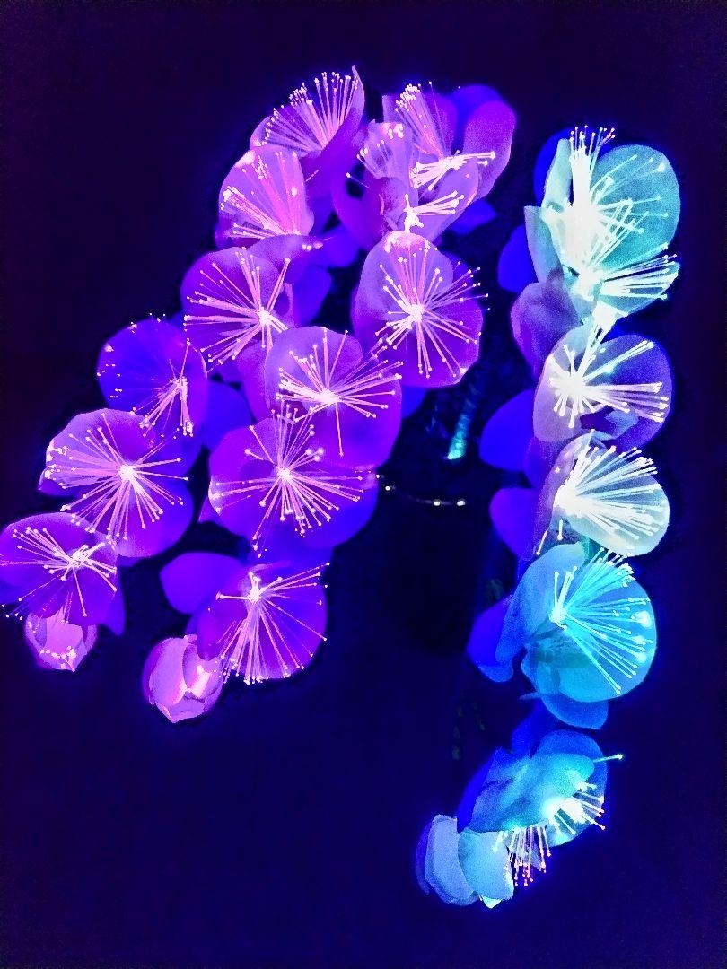ルミナス胡蝶蘭LED
