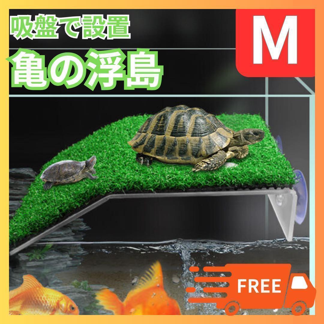 タートルロフト300 カメの陸地 奥行30cm水槽用 （アクリル製
