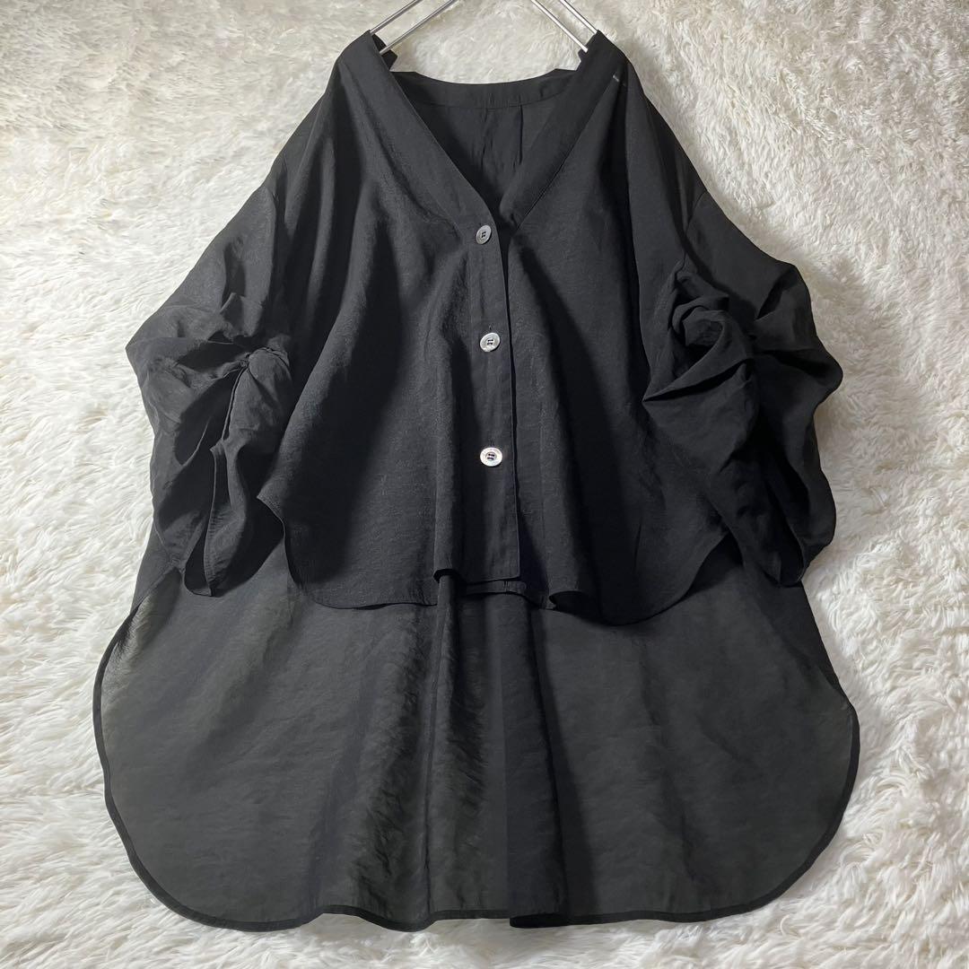 極美品 LEPHIL ルフィル VISオーガンジーブラウス 日本製 フリーサイズ