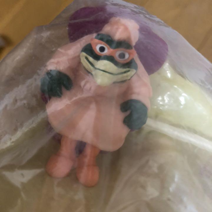 恐竜家族 ダイナソーズ フィギュア ミールトイ バラ売りなし メルカリ 恐竜家族 ダイナソーズ フィギュア ミールトイ バラ売りなし メルカリ