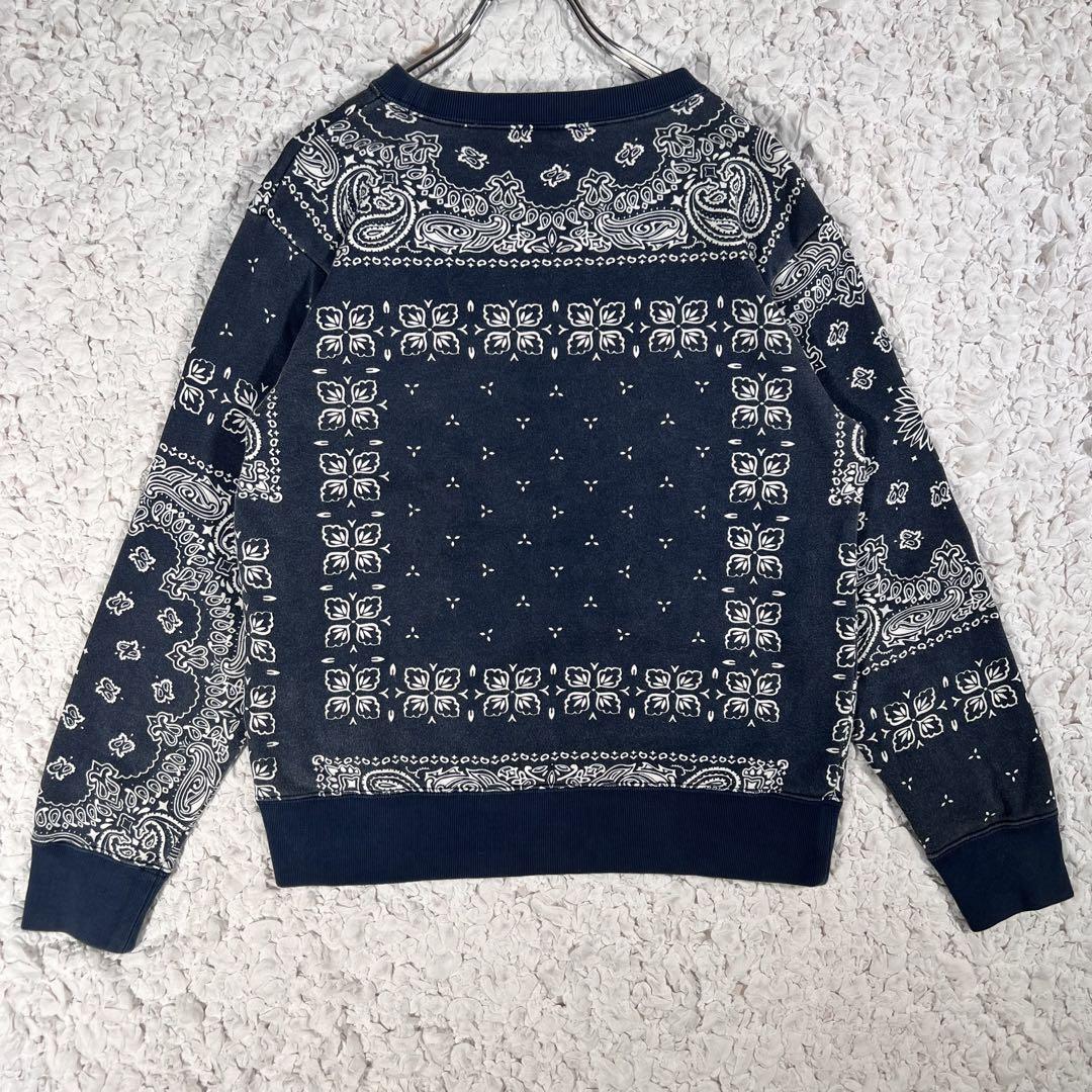 『希少』　チャンピオン　スウェット　ペイズリー柄　刺繍ロゴ　くすみブルー　【S】
