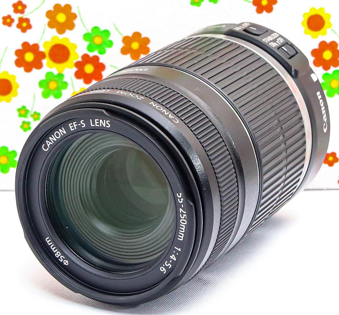 美品☆Canon EF-S 55-250mm IS☆お手軽望遠レンズ♪ 美品☆Canon EF-S 55-250mm IS☆お手軽望遠レンズ♪ - メルカリ