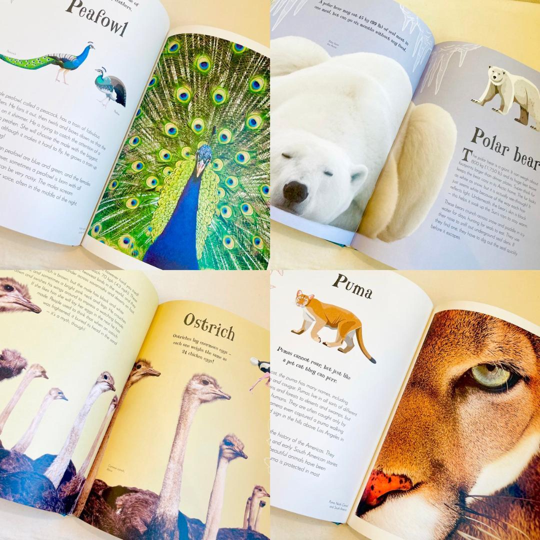 送料込 新品 英語絵本 動物 生き物 海洋 図鑑 学習 科学 百科事典 知育玩具 洋書 洋書 本 音楽 ゲーム 47 699 Meammarketing Com 送料込 新品 英語絵本 動物 生き物 海洋 図鑑 学習 科学 百科事典 知育玩具 洋書 洋書 本 音楽 ゲーム 47 699 Meammarketing Com