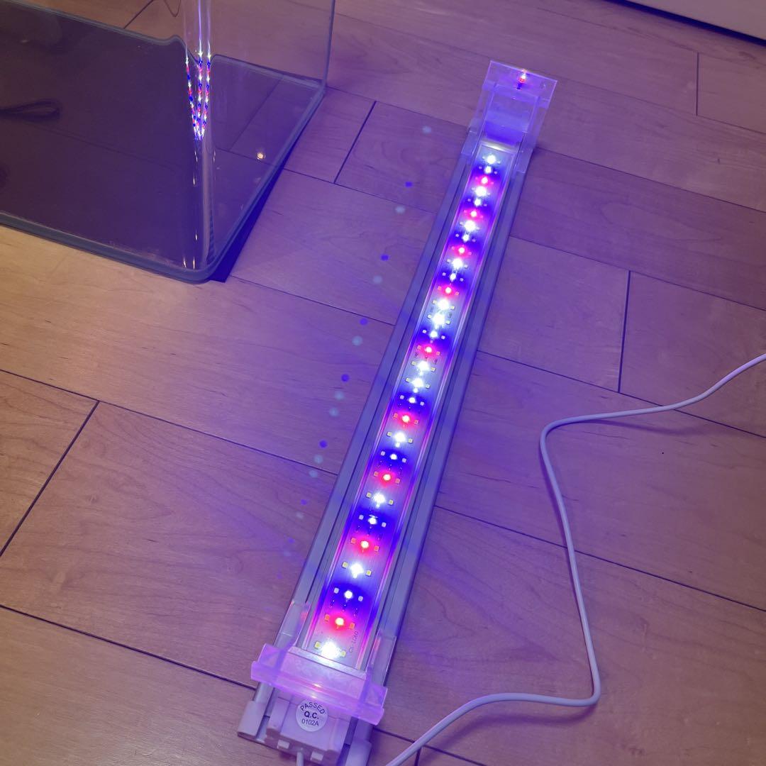 レグラス＋付属品ラウンドガラス