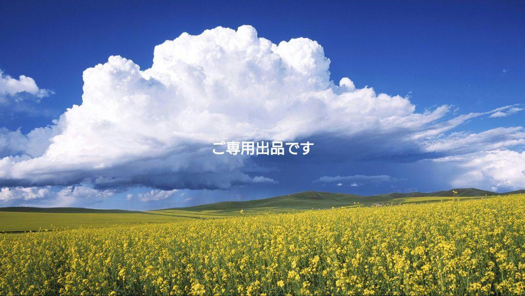 ご専用出品です。