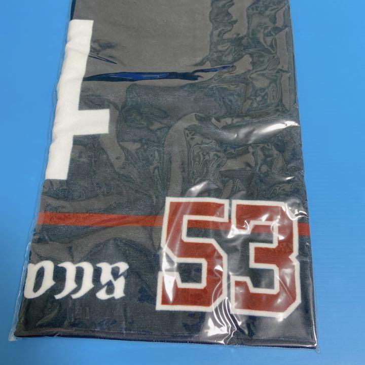 埼玉西武ライオンズ フェイスタオル 場内限定 愛斗 Wzmwql48au Godawaripowerispat Com