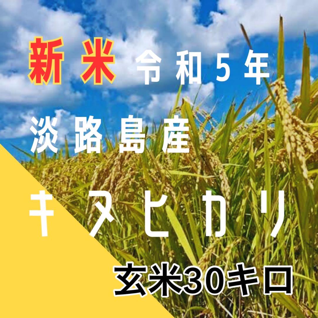 新米 令和5年 産 キヌヒカリ  玄米30キロ 淡路島 精米小分け可　　30kg