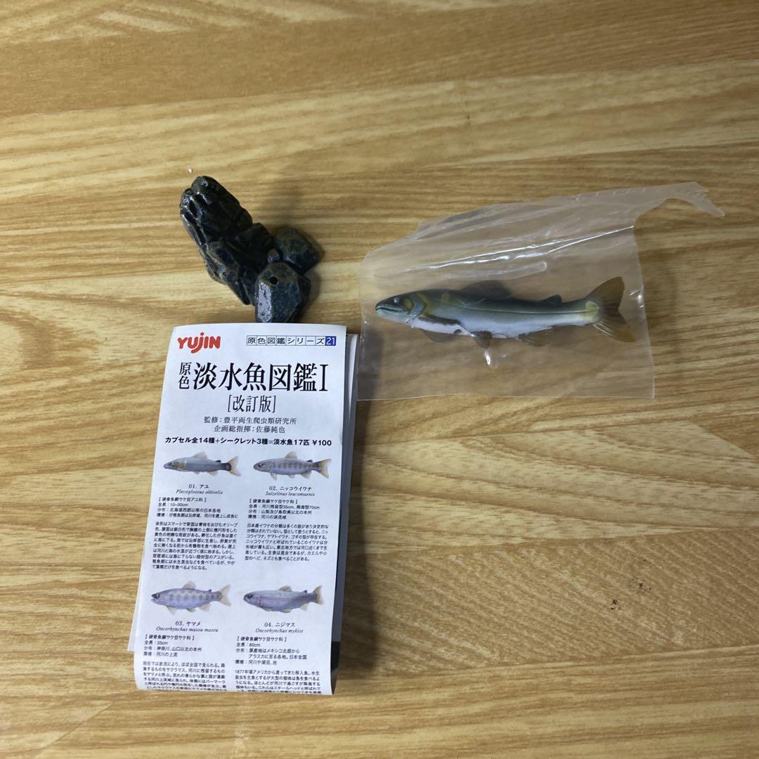 【未使用】YUJIN 原色淡水魚図鑑Ⅰ 17個 未使用】YUJIN 原色 淡水魚図鑑Ⅰ 改訂版 17種