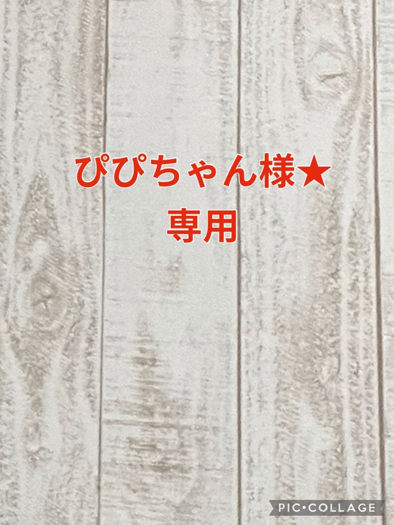 ぴぴちゃん様★専用