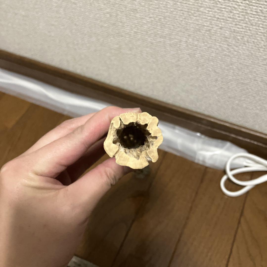 バジル