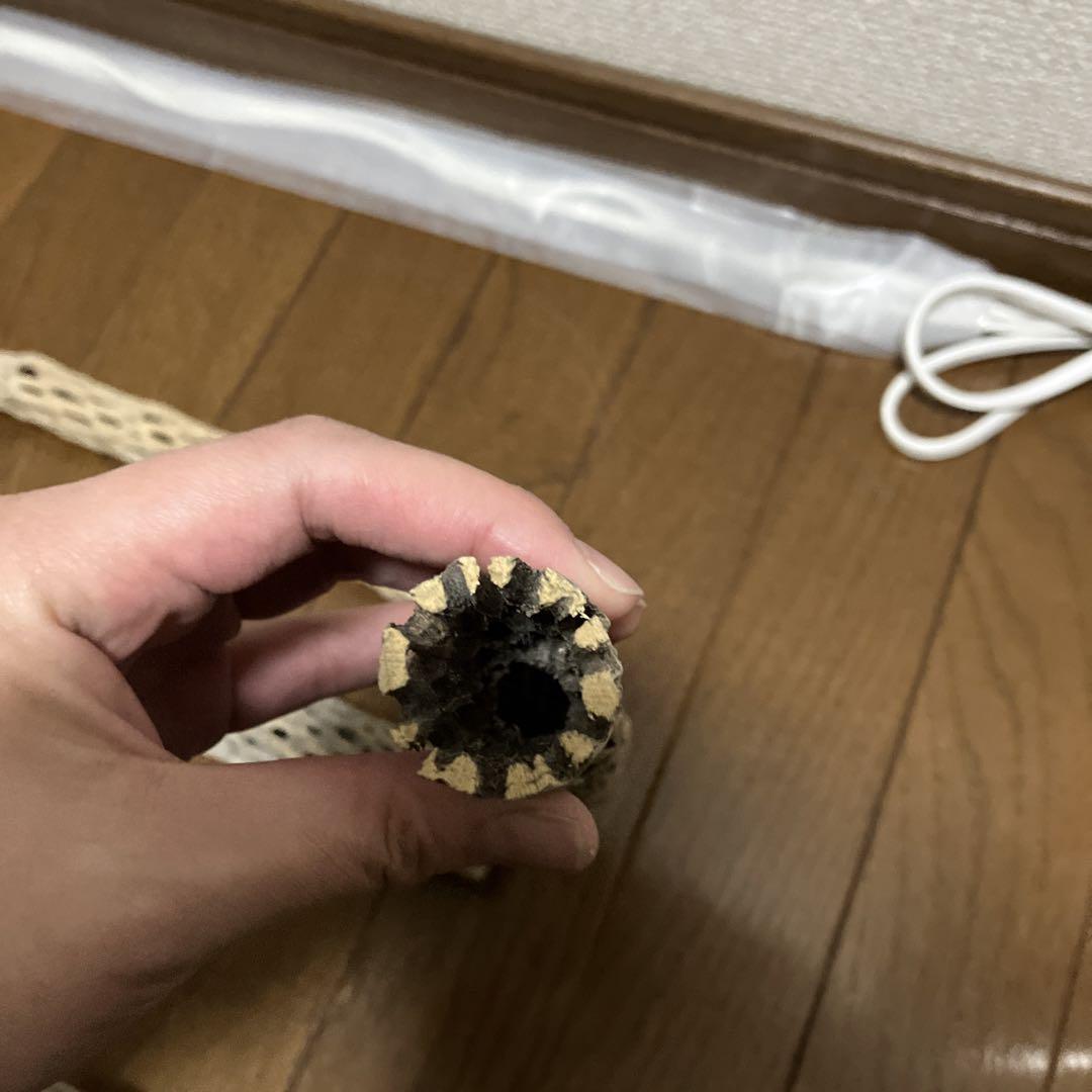 バジル