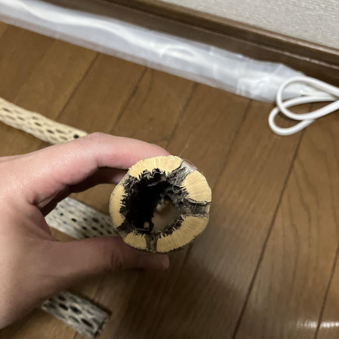 バジル