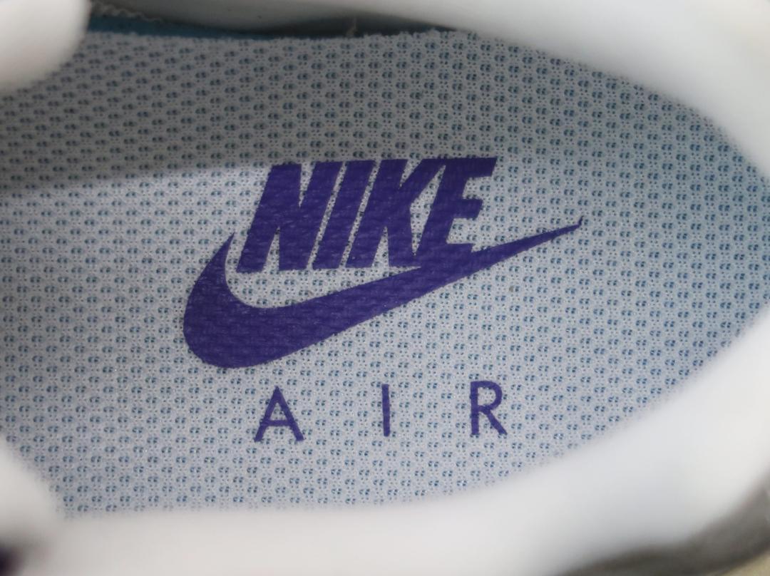 未使用 NIKE AIR MAX 95 LV8 Grape Snakeskin