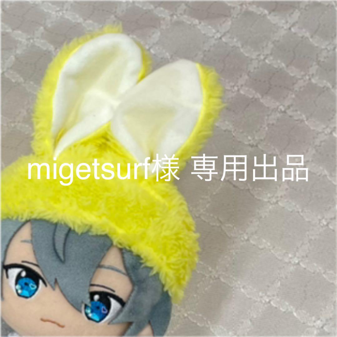 migetsurf様 専用 9 11 23:59まで