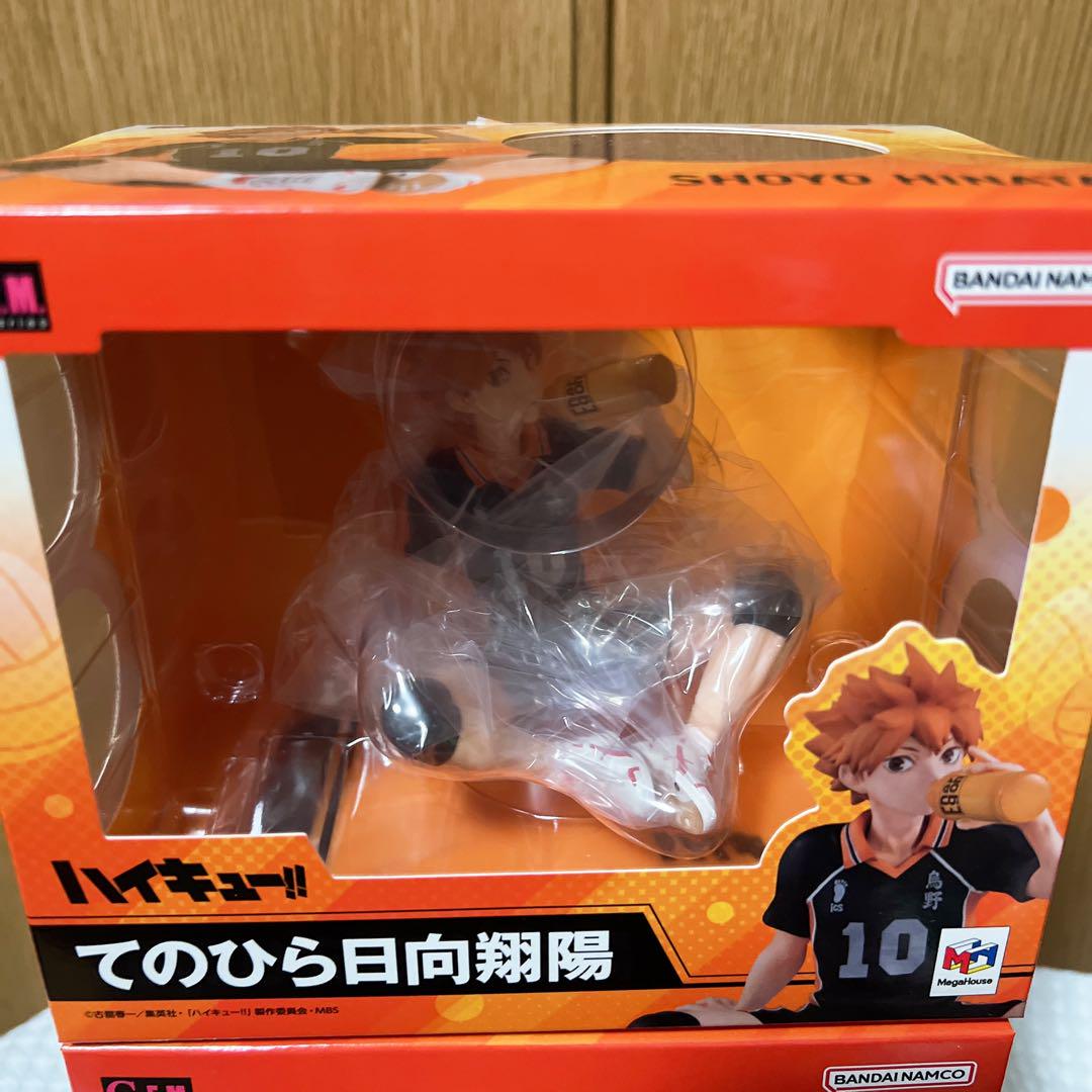 日向翔陽 影山飛雄