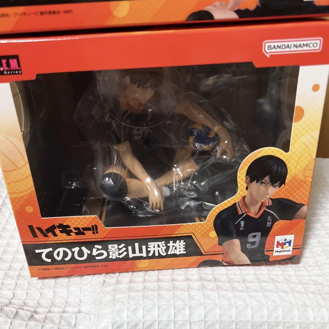 日向翔陽 影山飛雄