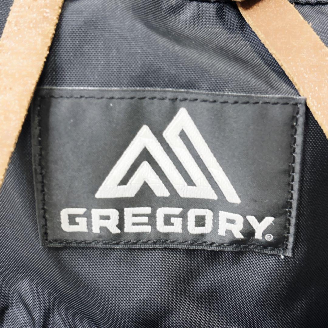 GREGORY グレゴリー　イージーデイ　20L リュック　バッグパック