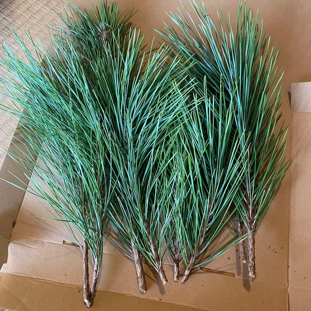 しめ縄 正月飾り