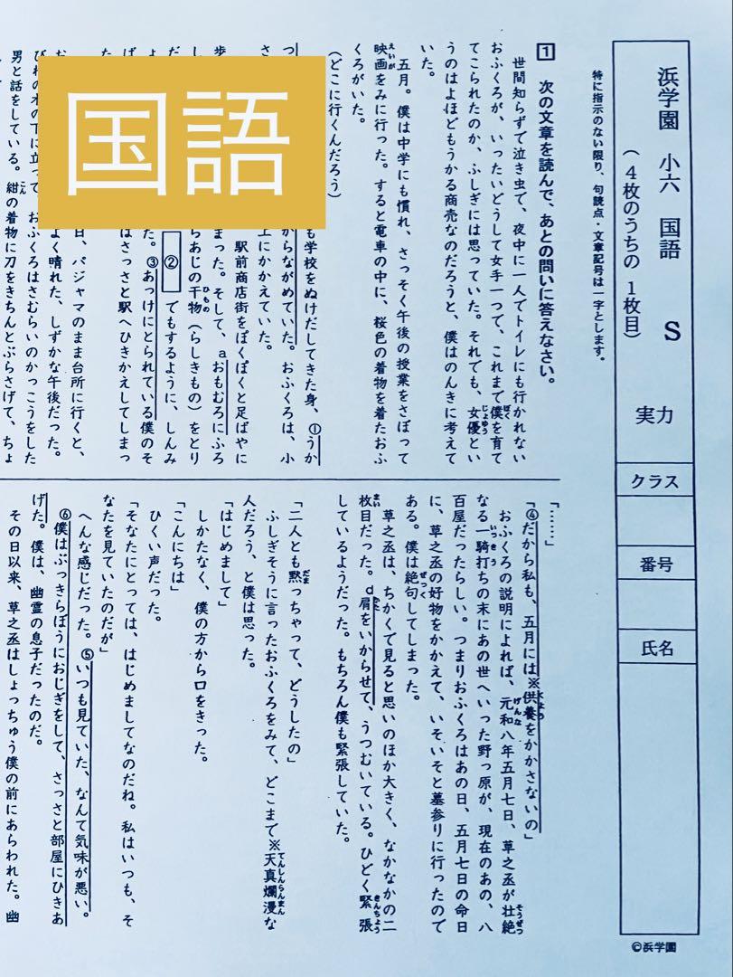 浜学園　小5　マスター　3教科　国語　算数　理科　Sクラス　復習テスト 浜学園 小5 3科目（算数・国語・理科）Sクラス 復習テスト 1年分