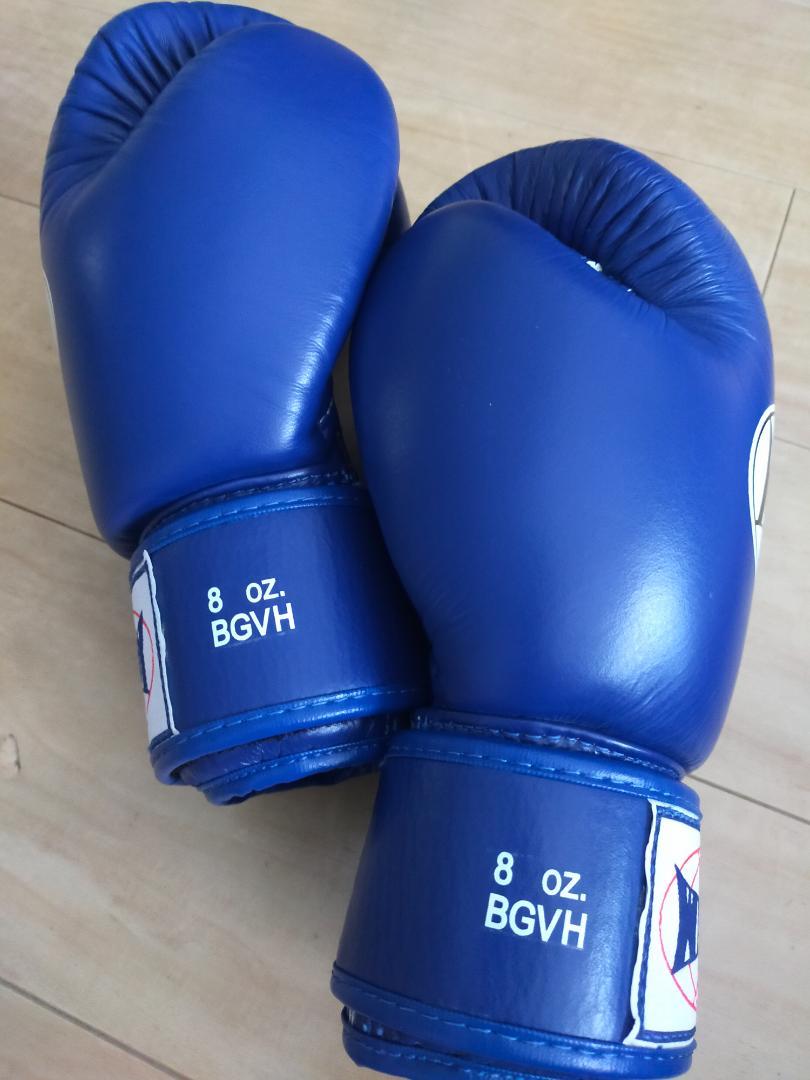 WINDY ウィンディ  BGVH トレーニンググローブ テープ式  8oz