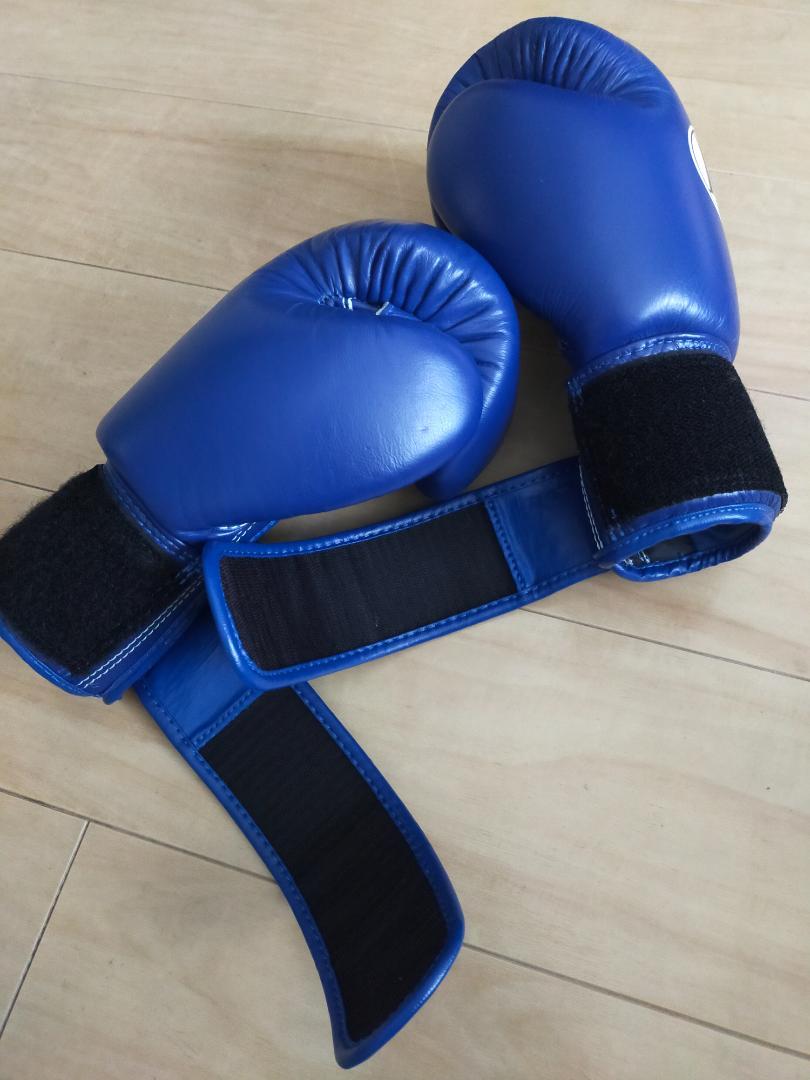 WINDY ウィンディ  BGVH トレーニンググローブ テープ式  8oz