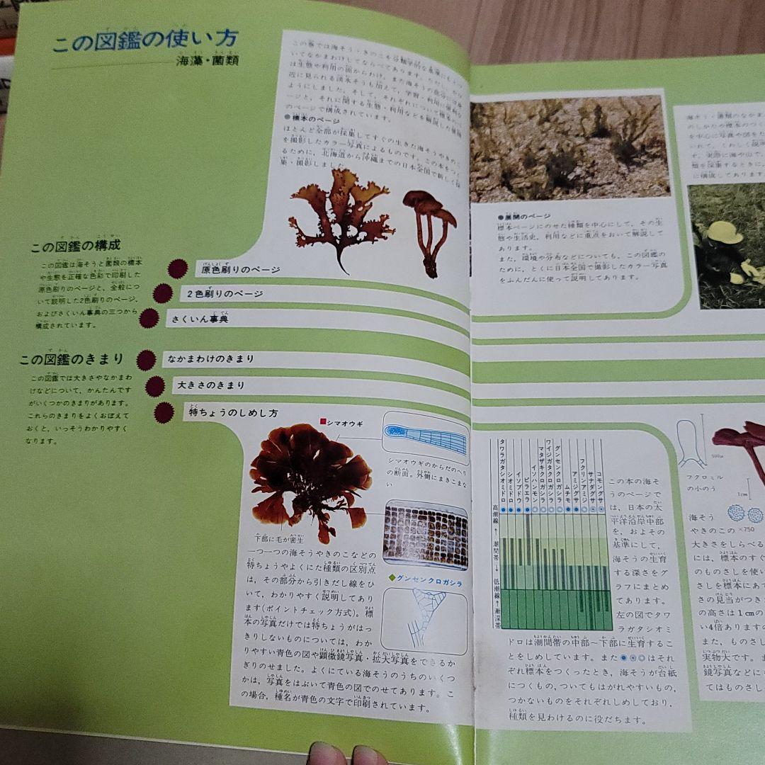 原色学習ワイド図鑑 海藻 菌類 理科 学習研究社 渡部ひろし メルカリ