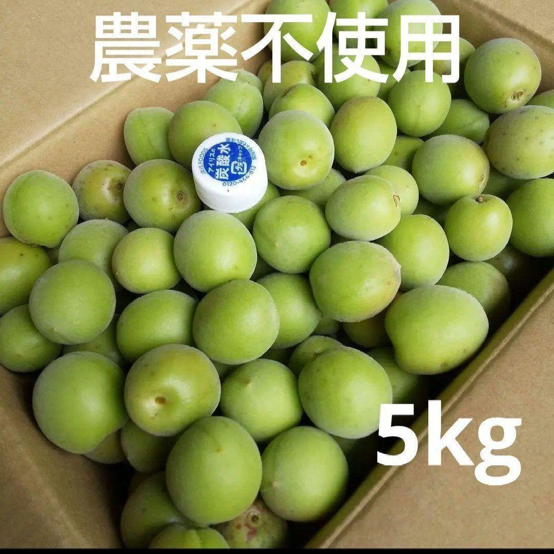 農薬不使用 青梅 梅 5キロ - メルカリ