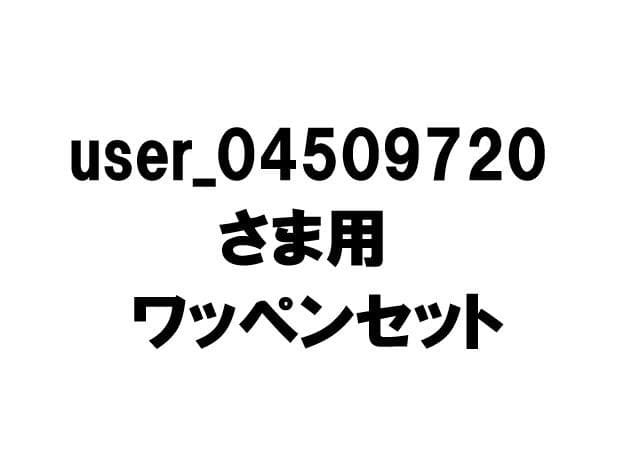 user_04509720さま用 ワッペンセット新品、♥