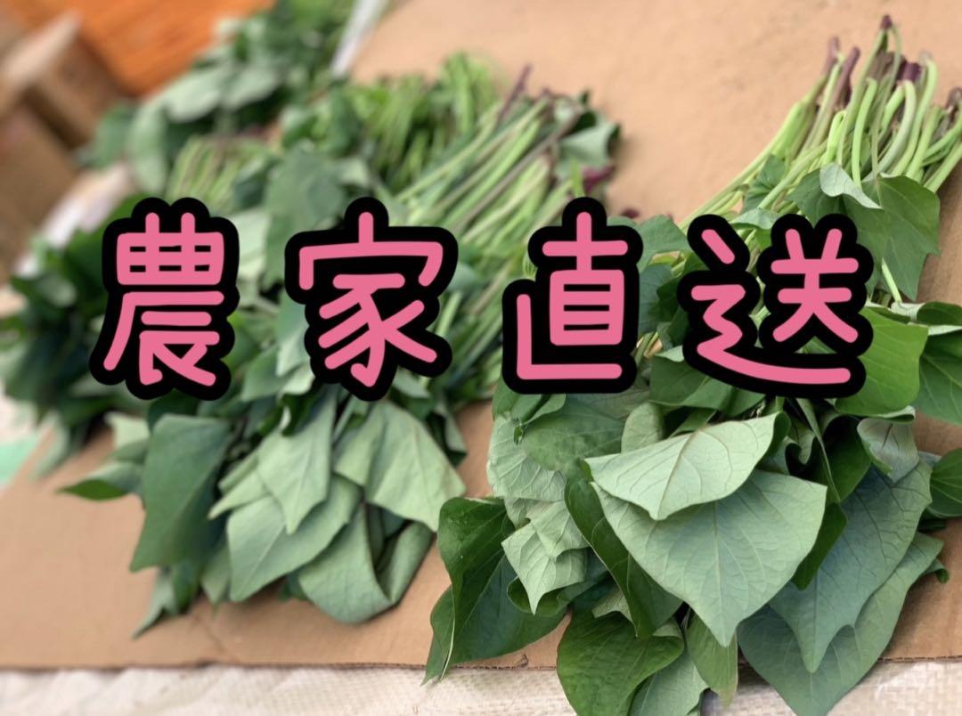 300本