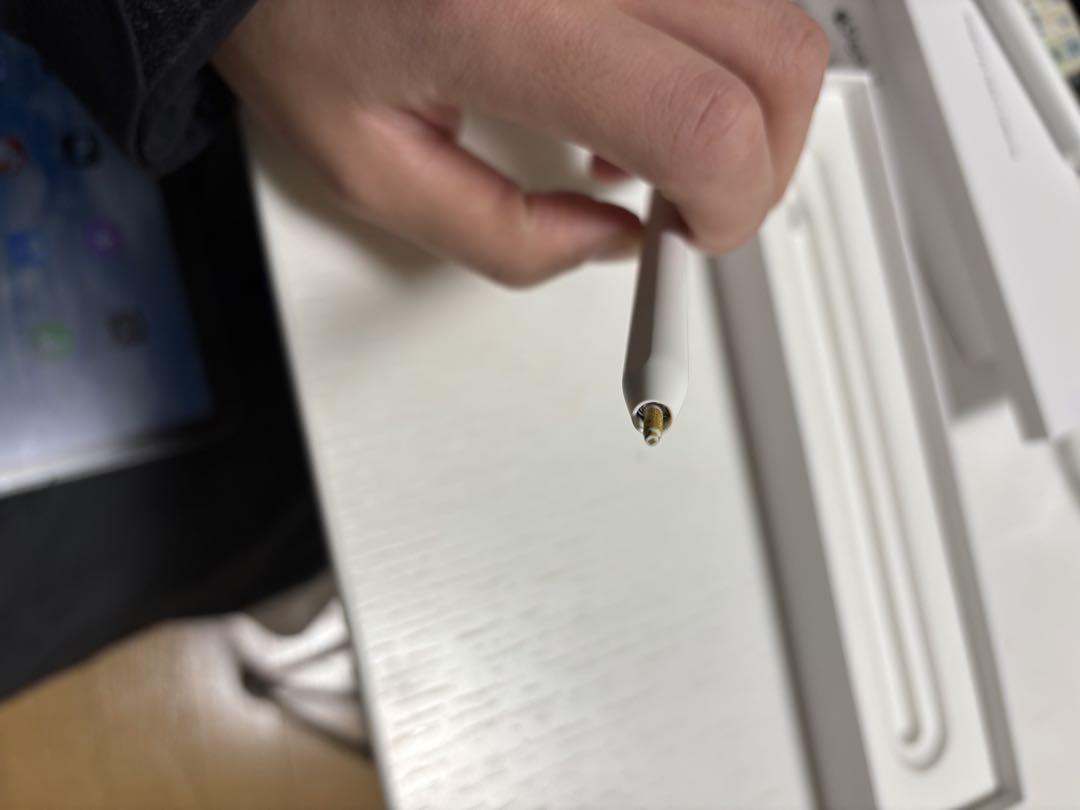 Apple Pencil (第2世代) ホワイト 専用ケース付き　ペン先破損 在庫 処分 セールスマホ・タブレット・パソコン - Apple Pencil